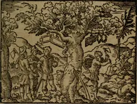 Picture 290 of 375 from Ori Apollinis Niliaci, De sacris Aegyptiorum notis, Aegyptiacè expressis : libri duo, iconibus illustrati, & aucti : nunc primùm in latinum ac gallicum sermonem conversi (1574), leaf 388