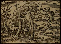 Picture 294 of 375 from Ori Apollinis Niliaci, De sacris Aegyptiorum notis, Aegyptiacè expressis : libri duo, iconibus illustrati, & aucti : nunc primùm in latinum ac gallicum sermonem conversi (1574), leaf 393