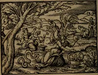 An illustration from Ori Apollinis Niliaci, De sacris Aegyptiorum notis, Aegyptiacè expressis : libri duo, iconibus illustrati, & aucti : nunc primùm in latinum ac gallicum sermonem conversi (1574)