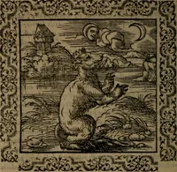 Picture 17 of 375 from Ori Apollinis Niliaci, De sacris Aegyptiorum notis, Aegyptiacè expressis : libri duo, iconibus illustrati, & aucti : nunc primùm in latinum ac gallicum sermonem conversi (1574), leaf 43