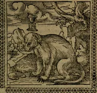 Picture 18 of 375 from Ori Apollinis Niliaci, De sacris Aegyptiorum notis, Aegyptiacè expressis : libri duo, iconibus illustrati, & aucti : nunc primùm in latinum ac gallicum sermonem conversi (1574), leaf 44