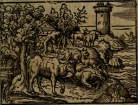 Picture 331 of 375 from Ori Apollinis Niliaci, De sacris Aegyptiorum notis, Aegyptiacè expressis : libri duo, iconibus illustrati, & aucti : nunc primùm in latinum ac gallicum sermonem conversi (1574), leaf 456