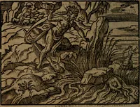 Picture 353 of 375 from Ori Apollinis Niliaci, De sacris Aegyptiorum notis, Aegyptiacè expressis : libri duo, iconibus illustrati, & aucti : nunc primùm in latinum ac gallicum sermonem conversi (1574), leaf 495