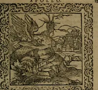 Picture 35 of 375 from Ori Apollinis Niliaci, De sacris Aegyptiorum notis, Aegyptiacè expressis : libri duo, iconibus illustrati, & aucti : nunc primùm in latinum ac gallicum sermonem conversi (1574), leaf 62