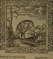 Picture 36 of 375 from Ori Apollinis Niliaci, De sacris Aegyptiorum notis, Aegyptiacè expressis : libri duo, iconibus illustrati, & aucti : nunc primùm in latinum ac gallicum sermonem conversi (1574), leaf 63