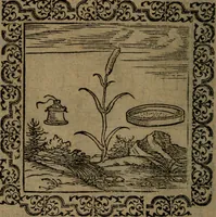 Picture 38 of 375 from Ori Apollinis Niliaci, De sacris Aegyptiorum notis, Aegyptiacè expressis : libri duo, iconibus illustrati, & aucti : nunc primùm in latinum ac gallicum sermonem conversi (1574), leaf 65