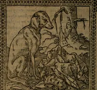 Picture 40 of 375 from Ori Apollinis Niliaci, De sacris Aegyptiorum notis, Aegyptiacè expressis : libri duo, iconibus illustrati, & aucti : nunc primùm in latinum ac gallicum sermonem conversi (1574), leaf 69