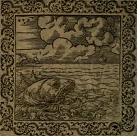 Picture 44 of 375 from Ori Apollinis Niliaci, De sacris Aegyptiorum notis, Aegyptiacè expressis : libri duo, iconibus illustrati, & aucti : nunc primùm in latinum ac gallicum sermonem conversi (1574), leaf 73