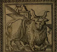 Picture 46 of 375 from Ori Apollinis Niliaci, De sacris Aegyptiorum notis, Aegyptiacè expressis : libri duo, iconibus illustrati, & aucti : nunc primùm in latinum ac gallicum sermonem conversi (1574), leaf 75
