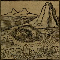 Picture 47 of 375 from Ori Apollinis Niliaci, De sacris Aegyptiorum notis, Aegyptiacè expressis : libri duo, iconibus illustrati, & aucti : nunc primùm in latinum ac gallicum sermonem conversi (1574), leaf 76