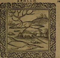 Picture 50 of 375 from Ori Apollinis Niliaci, De sacris Aegyptiorum notis, Aegyptiacè expressis : libri duo, iconibus illustrati, & aucti : nunc primùm in latinum ac gallicum sermonem conversi (1574), leaf 80