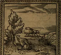 Picture 51 of 375 from Ori Apollinis Niliaci, De sacris Aegyptiorum notis, Aegyptiacè expressis : libri duo, iconibus illustrati, & aucti : nunc primùm in latinum ac gallicum sermonem conversi (1574), leaf 81