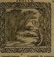 Picture 52 of 375 from Ori Apollinis Niliaci, De sacris Aegyptiorum notis, Aegyptiacè expressis : libri duo, iconibus illustrati, & aucti : nunc primùm in latinum ac gallicum sermonem conversi (1574), leaf 82
