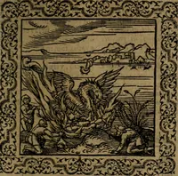Picture 54 of 375 from Ori Apollinis Niliaci, De sacris Aegyptiorum notis, Aegyptiacè expressis : libri duo, iconibus illustrati, & aucti : nunc primùm in latinum ac gallicum sermonem conversi (1574), leaf 84