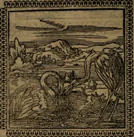 Picture 55 of 375 from Ori Apollinis Niliaci, De sacris Aegyptiorum notis, Aegyptiacè expressis : libri duo, iconibus illustrati, & aucti : nunc primùm in latinum ac gallicum sermonem conversi (1574), leaf 85
