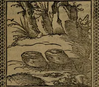 Picture 56 of 375 from Ori Apollinis Niliaci, De sacris Aegyptiorum notis, Aegyptiacè expressis : libri duo, iconibus illustrati, & aucti : nunc primùm in latinum ac gallicum sermonem conversi (1574), leaf 86