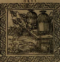 Picture 62 of 375 from Ori Apollinis Niliaci, De sacris Aegyptiorum notis, Aegyptiacè expressis : libri duo, iconibus illustrati, & aucti : nunc primùm in latinum ac gallicum sermonem conversi (1574), leaf 93