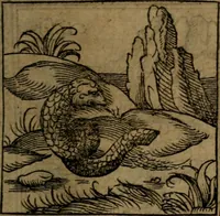 Picture 63 of 375 from Ori Apollinis Niliaci, De sacris Aegyptiorum notis, Aegyptiacè expressis : libri duo, iconibus illustrati, & aucti : nunc primùm in latinum ac gallicum sermonem conversi (1574), leaf 94