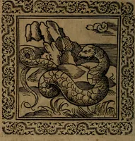 Picture 64 of 375 from Ori Apollinis Niliaci, De sacris Aegyptiorum notis, Aegyptiacè expressis : libri duo, iconibus illustrati, & aucti : nunc primùm in latinum ac gallicum sermonem conversi (1574), leaf 95