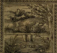 Picture 65 of 375 from Ori Apollinis Niliaci, De sacris Aegyptiorum notis, Aegyptiacè expressis : libri duo, iconibus illustrati, & aucti : nunc primùm in latinum ac gallicum sermonem conversi (1574), leaf 96