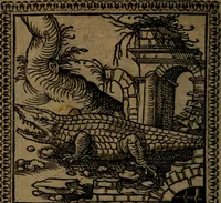 Picture 66 of 375 from Ori Apollinis Niliaci, De sacris Aegyptiorum notis, Aegyptiacè expressis : libri duo, iconibus illustrati, & aucti : nunc primùm in latinum ac gallicum sermonem conversi (1574), leaf 97