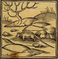 An illustration from Ori Apollonis Niliaci, de sacris notis & sculpturis libri duo, vbi ad fidem vetudti codicis manu scripti restituta sunt loca permulta, corrupta ante ac deplorata (1551)