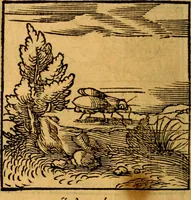 Picture 51 of 179 from Ori Apollonis Niliaci, de sacris notis & sculpturis libri duo, vbi ad fidem vetudti codicis manu scripti restituta sunt loca permulta, corrupta ante ac deplorata (1551), leaf 101
