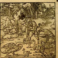 An illustration from Ori Apollonis Niliaci, de sacris notis & sculpturis libri duo, vbi ad fidem vetudti codicis manu scripti restituta sunt loca permulta, corrupta ante ac deplorata (1551)