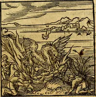 An illustration from Ori Apollonis Niliaci, de sacris notis & sculpturis libri duo, vbi ad fidem vetudti codicis manu scripti restituta sunt loca permulta, corrupta ante ac deplorata (1551)