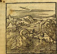 An illustration from Ori Apollonis Niliaci, de sacris notis & sculpturis libri duo, vbi ad fidem vetudti codicis manu scripti restituta sunt loca permulta, corrupta ante ac deplorata (1551)
