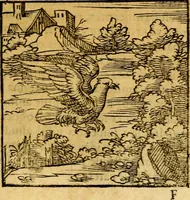 An illustration from Ori Apollonis Niliaci, de sacris notis & sculpturis libri duo, vbi ad fidem vetudti codicis manu scripti restituta sunt loca permulta, corrupta ante ac deplorata (1551)