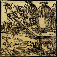 Picture 60 of 179 from Ori Apollonis Niliaci, de sacris notis & sculpturis libri duo, vbi ad fidem vetudti codicis manu scripti restituta sunt loca permulta, corrupta ante ac deplorata (1551), leaf 114