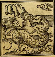 Picture 62 of 179 from Ori Apollonis Niliaci, de sacris notis & sculpturis libri duo, vbi ad fidem vetudti codicis manu scripti restituta sunt loca permulta, corrupta ante ac deplorata (1551), leaf 116
