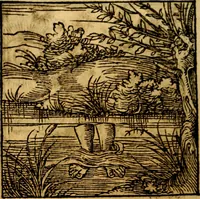 An illustration from Ori Apollonis Niliaci, de sacris notis & sculpturis libri duo, vbi ad fidem vetudti codicis manu scripti restituta sunt loca permulta, corrupta ante ac deplorata (1551)