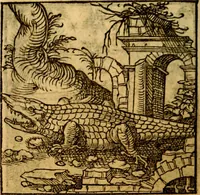 An illustration from Ori Apollonis Niliaci, de sacris notis & sculpturis libri duo, vbi ad fidem vetudti codicis manu scripti restituta sunt loca permulta, corrupta ante ac deplorata (1551)