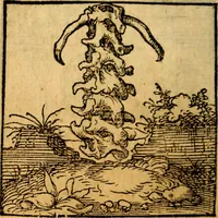 Picture 75 of 179 from Ori Apollonis Niliaci, de sacris notis & sculpturis libri duo, vbi ad fidem vetudti codicis manu scripti restituta sunt loca permulta, corrupta ante ac deplorata (1551), leaf 133