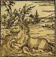 An illustration from Ori Apollonis Niliaci, de sacris notis & sculpturis libri duo, vbi ad fidem vetudti codicis manu scripti restituta sunt loca permulta, corrupta ante ac deplorata (1551)
