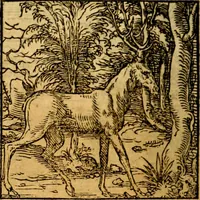 Picture 86 of 179 from Ori Apollonis Niliaci, de sacris notis & sculpturis libri duo, vbi ad fidem vetudti codicis manu scripti restituta sunt loca permulta, corrupta ante ac deplorata (1551), leaf 145