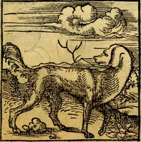 An illustration from Ori Apollonis Niliaci, de sacris notis & sculpturis libri duo, vbi ad fidem vetudti codicis manu scripti restituta sunt loca permulta, corrupta ante ac deplorata (1551)
