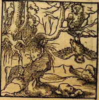 An illustration from Ori Apollonis Niliaci, de sacris notis & sculpturis libri duo, vbi ad fidem vetudti codicis manu scripti restituta sunt loca permulta, corrupta ante ac deplorata (1551)