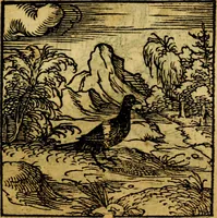 An illustration from Ori Apollonis Niliaci, de sacris notis & sculpturis libri duo, vbi ad fidem vetudti codicis manu scripti restituta sunt loca permulta, corrupta ante ac deplorata (1551)