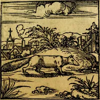 Picture 100 of 179 from Ori Apollonis Niliaci, de sacris notis & sculpturis libri duo, vbi ad fidem vetudti codicis manu scripti restituta sunt loca permulta, corrupta ante ac deplorata (1551), leaf 160