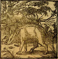 Picture 101 of 179 from Ori Apollonis Niliaci, de sacris notis & sculpturis libri duo, vbi ad fidem vetudti codicis manu scripti restituta sunt loca permulta, corrupta ante ac deplorata (1551), leaf 161