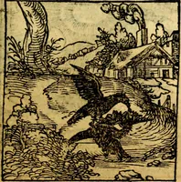 An illustration from Ori Apollonis Niliaci, de sacris notis & sculpturis libri duo, vbi ad fidem vetudti codicis manu scripti restituta sunt loca permulta, corrupta ante ac deplorata (1551)