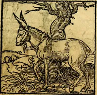 An illustration from Ori Apollonis Niliaci, de sacris notis & sculpturis libri duo, vbi ad fidem vetudti codicis manu scripti restituta sunt loca permulta, corrupta ante ac deplorata (1551)