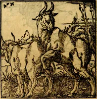 An illustration from Ori Apollonis Niliaci, de sacris notis & sculpturis libri duo, vbi ad fidem vetudti codicis manu scripti restituta sunt loca permulta, corrupta ante ac deplorata (1551)