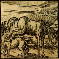 An illustration from Ori Apollonis Niliaci, de sacris notis & sculpturis libri duo, vbi ad fidem vetudti codicis manu scripti restituta sunt loca permulta, corrupta ante ac deplorata (1551)