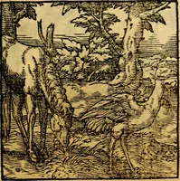 Picture 113 of 179 from Ori Apollonis Niliaci, de sacris notis & sculpturis libri duo, vbi ad fidem vetudti codicis manu scripti restituta sunt loca permulta, corrupta ante ac deplorata (1551), leaf 174