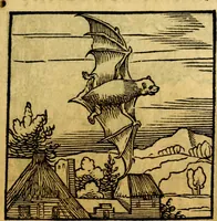 Picture 115 of 179 from Ori Apollonis Niliaci, de sacris notis & sculpturis libri duo, vbi ad fidem vetudti codicis manu scripti restituta sunt loca permulta, corrupta ante ac deplorata (1551), leaf 176