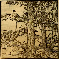 An illustration from Ori Apollonis Niliaci, de sacris notis & sculpturis libri duo, vbi ad fidem vetudti codicis manu scripti restituta sunt loca permulta, corrupta ante ac deplorata (1551)